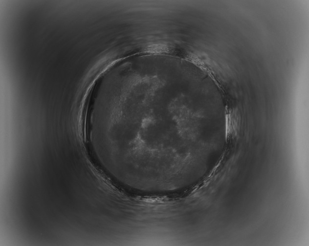 X0000093530243200710121604