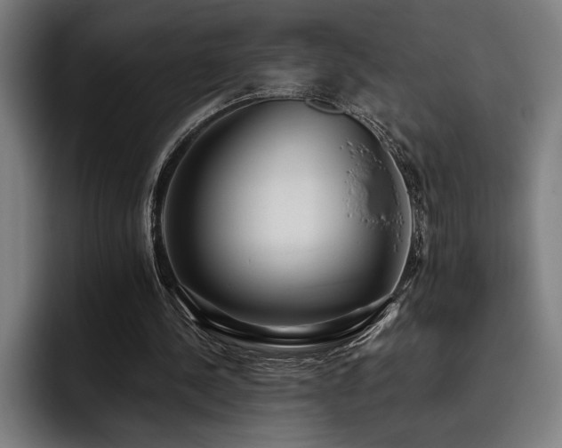 X0000093530244200710121604