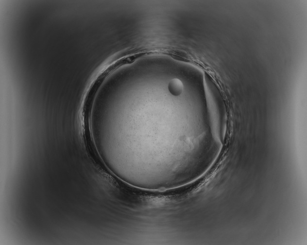X0000093530246200710121604