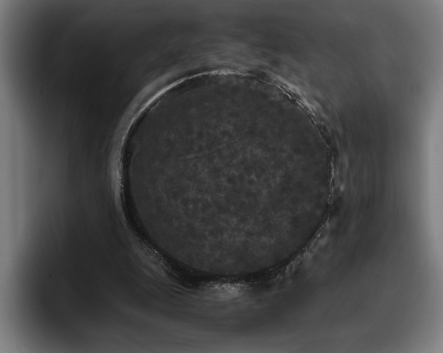 X0000093530247200710121604