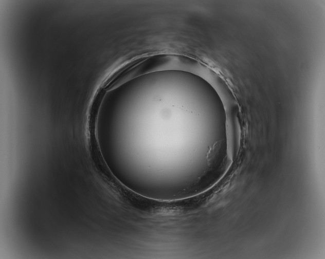 X0000093530248200710121604
