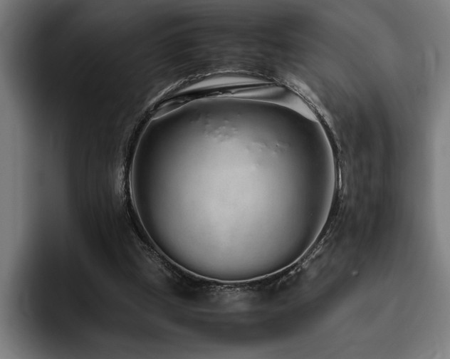X0000093530249200710121604