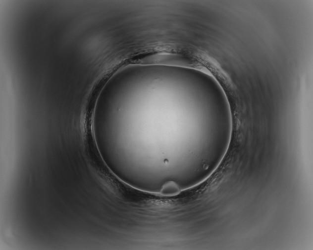 X0000093530250200710121604