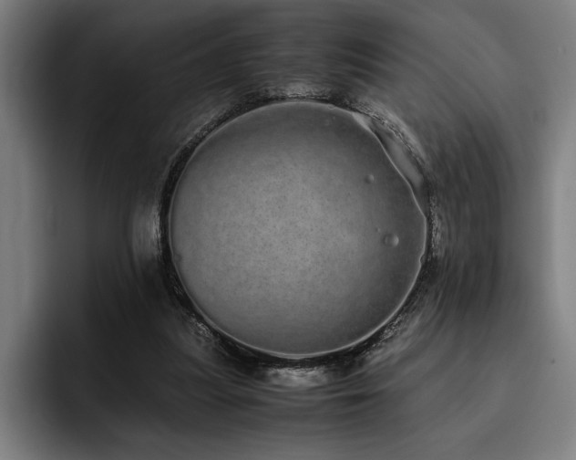 X0000093530251200710121604