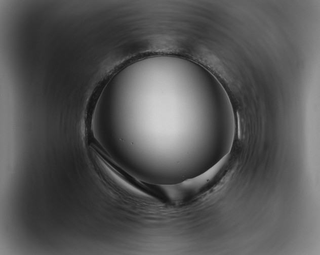 X0000093530252200710121604