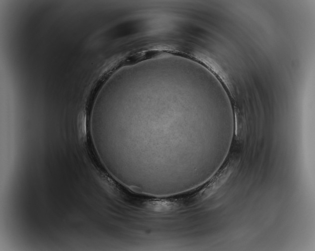 X0000093530253200710121604