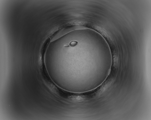 X0000093530254200710121604