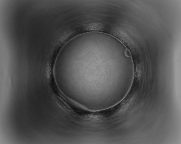 X0000093530255200710121604