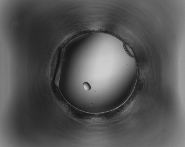 X0000093530256200710121604