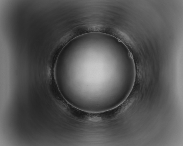X0000093530258200710121604