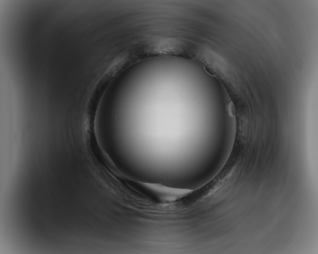 X0000093530260200710121604