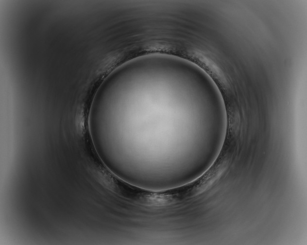 X0000093530261200710121604