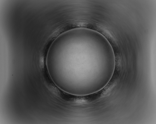 X0000093530262200710121604