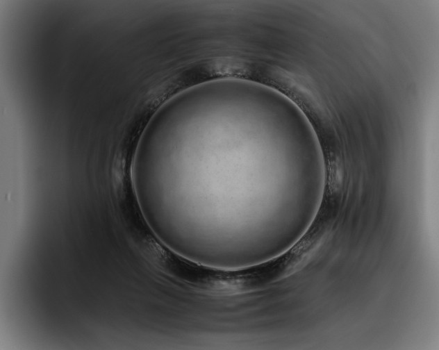 X0000093530263200710121604