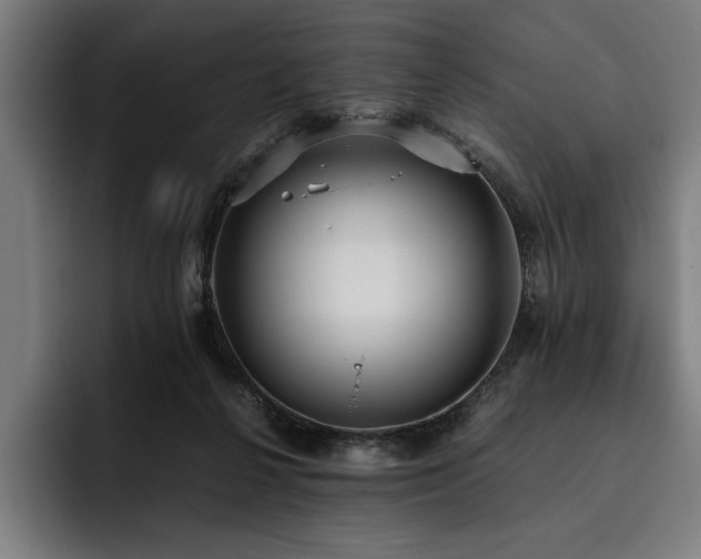 X0000093530264200710121604