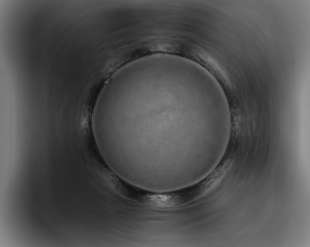 X0000093530265200710121604
