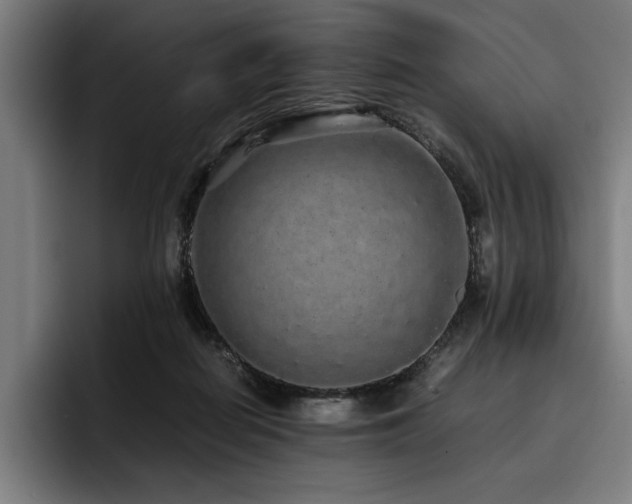 X0000093530266200710121604