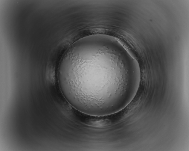X0000093530267200710121604