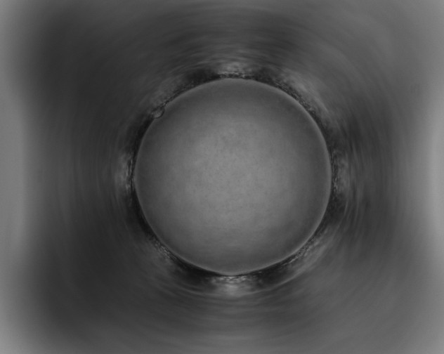 X0000093530273200710121604