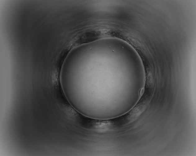 X0000093530274200710121604