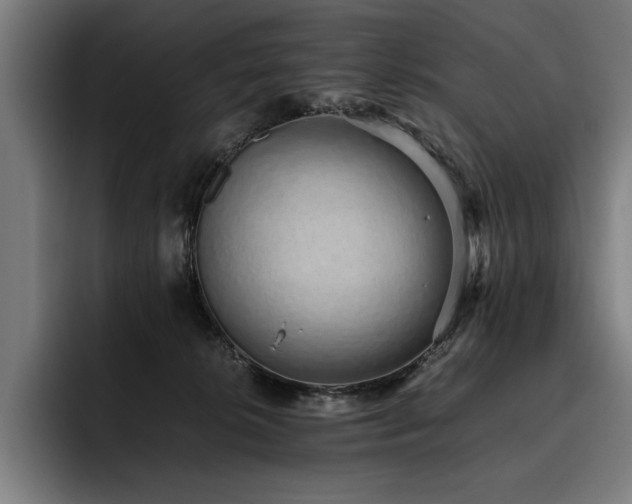 X0000093530276200710121604