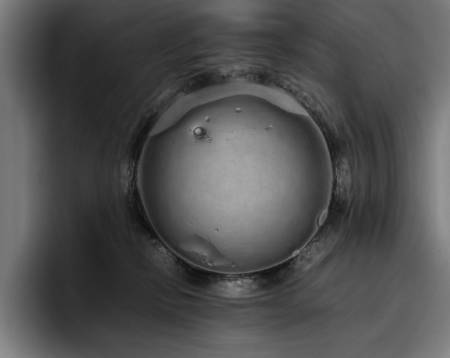 X0000093530278200710121605