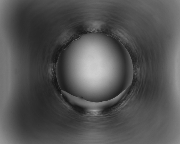 X0000093530280200710121605