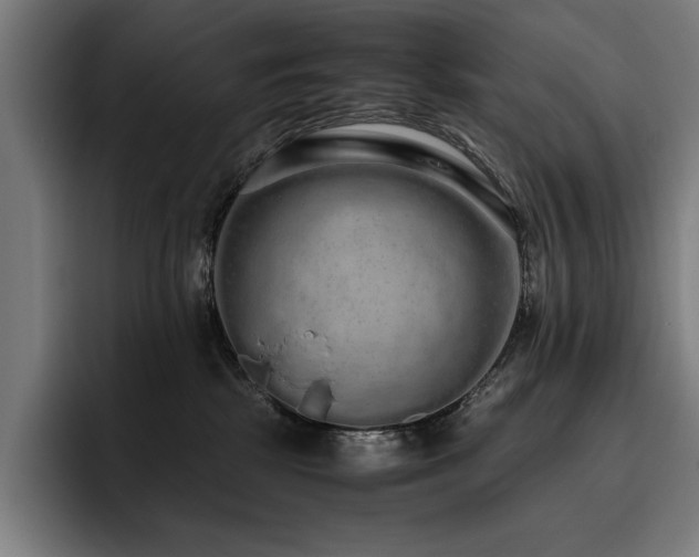 X0000093530281200710121605