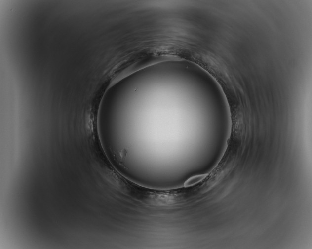 X0000093530282200710121605