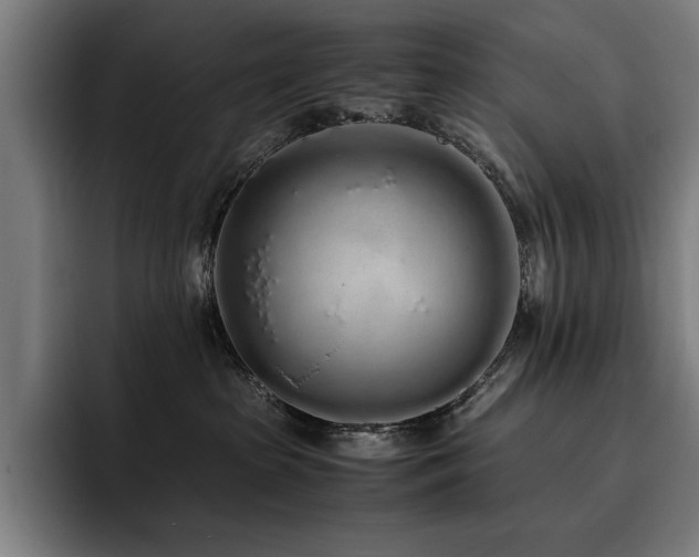 X0000093530285200710121605