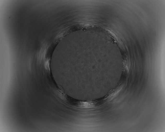X0000093530286200710121605