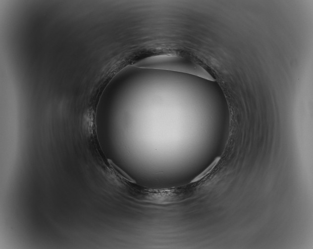X0000093530288200710121605