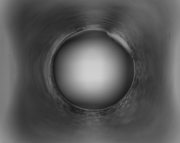 X0000093530289200710121604