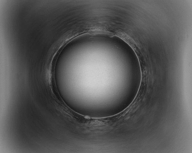 X0000093530290200710121604