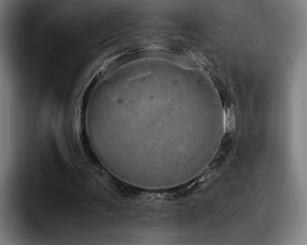 X0000093530291200710121604