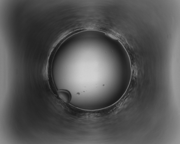 X0000093530292200710121604