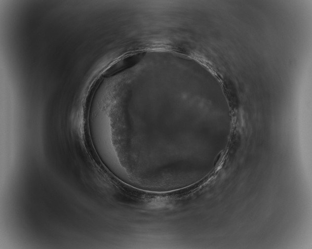 X0000093530293200710121604