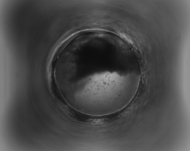 X0000093530295200710121604