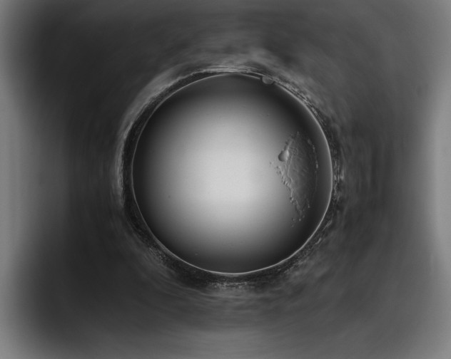 X0000093530296200710121604