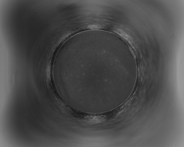 X0000093530297200710121604