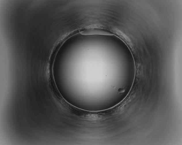 X0000093530298200710121604