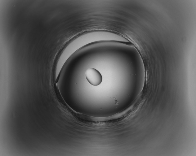 X0000093530301200710121604