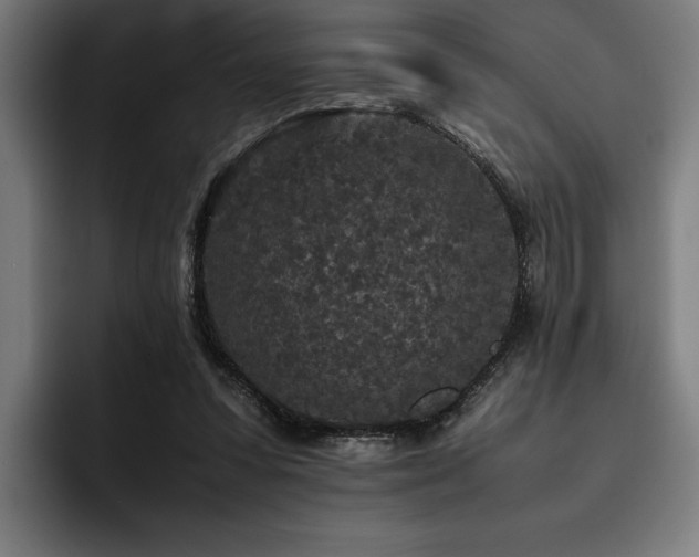 X0000093530303200710121604