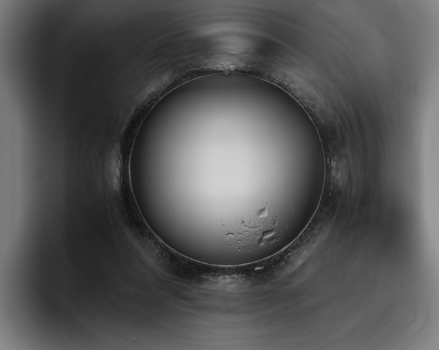 X0000093530304200710121604