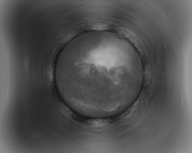 X0000093530305200710121604