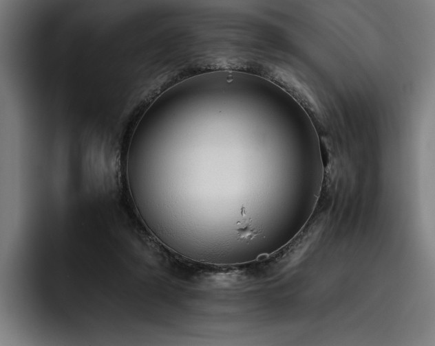 X0000093530306200710121604