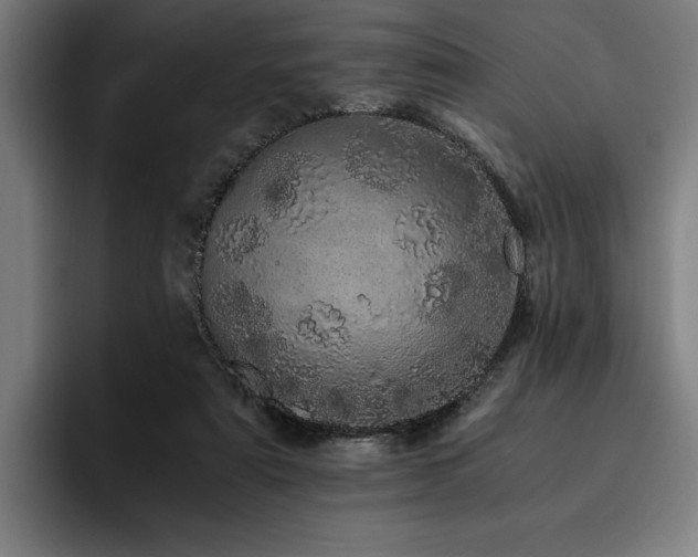 X0000093530307200710121604