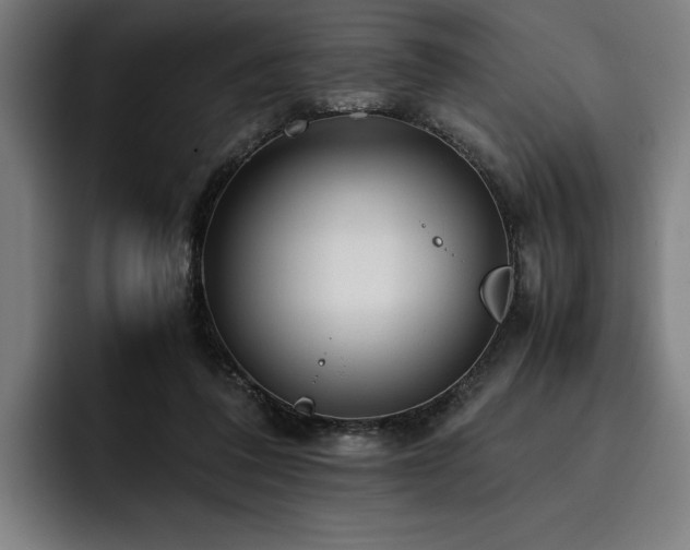 X0000093530308200710121604