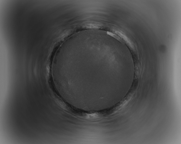 X0000093530309200710121604