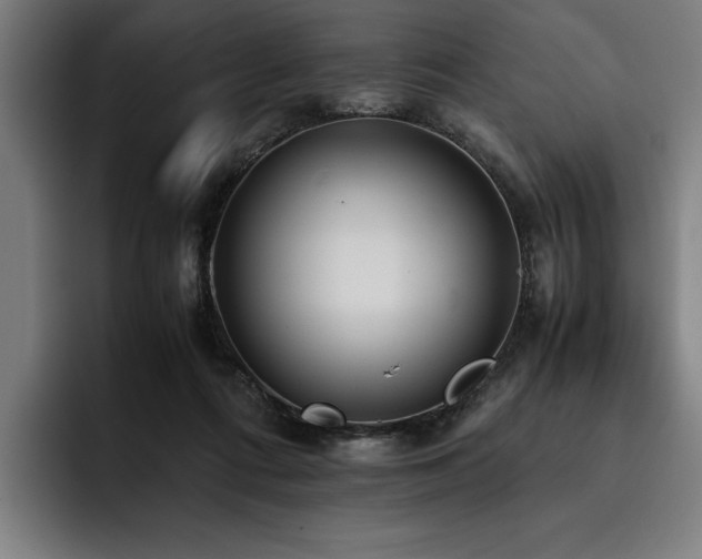 X0000093530312200710121604